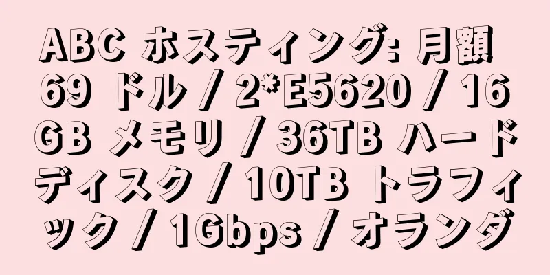 ABC ホスティング: 月額 69 ドル / 2*E5620 / 16GB メモリ / 36TB ハードディスク / 10TB トラフィック / 1Gbps / オランダ