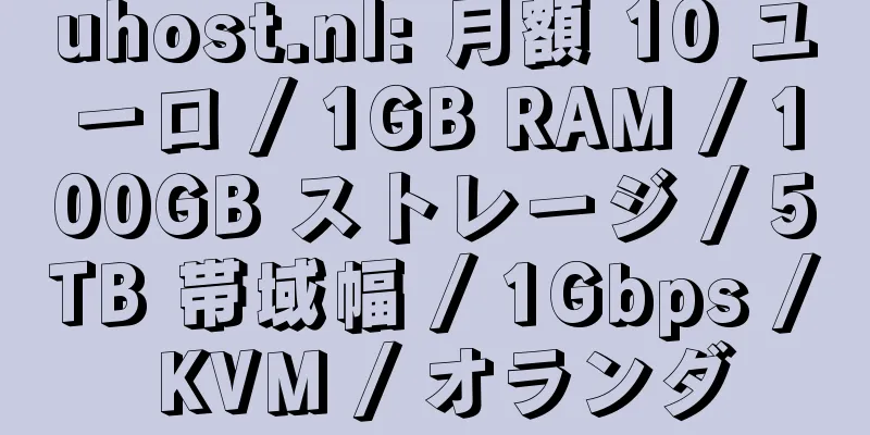 uhost.nl: 月額 10 ユーロ / 1GB RAM / 100GB ストレージ / 5TB 帯域幅 / 1Gbps / KVM / オランダ