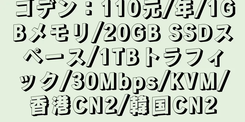 ゴデン：110元/年/1GBメモリ/20GB SSDスペース/1TBトラフィック/30Mbps/KVM/香港CN2/韓国CN2