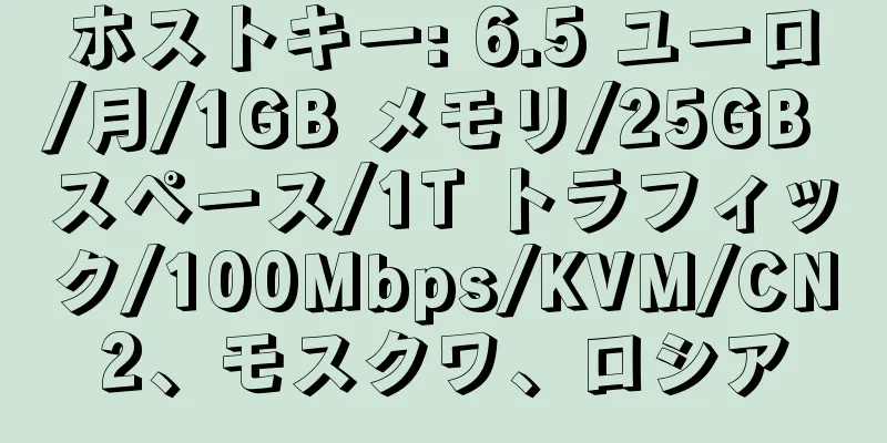 ホストキー: 6.5 ユーロ/月/1GB メモリ/25GB スペース/1T トラフィック/100Mbps/KVM/CN2、モスクワ、ロシア