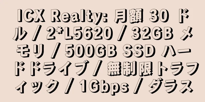 ICX Realty: 月額 30 ドル / 2*L5620 / 32GB メモリ / 500GB SSD ハードドライブ / 無制限トラフィック / 1Gbps / ダラス