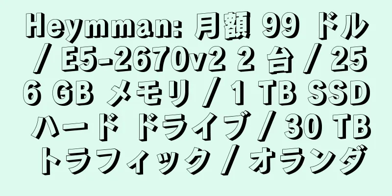 Heymman: 月額 99 ドル / E5-2670v2 2 台 / 256 GB メモリ / 1 TB SSD ハード ドライブ / 30 TB トラフィック / オランダ