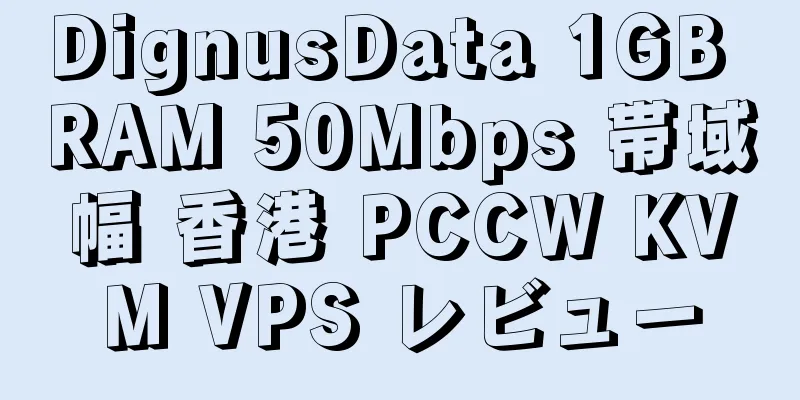 DignusData 1GB RAM 50Mbps 帯域幅 香港 PCCW KVM VPS レビュー