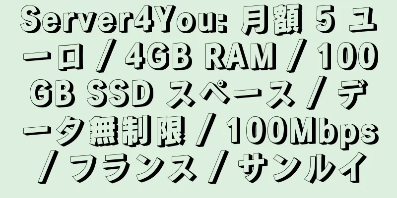 Server4You: 月額 5 ユーロ / 4GB RAM / 100GB SSD スペース / データ無制限 / 100Mbps / フランス / サンルイ