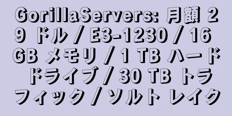 GorillaServers: 月額 29 ドル / E3-1230 / 16 GB メモリ / 1 TB ハード ドライブ / 30 TB トラフィック / ソルト レイク