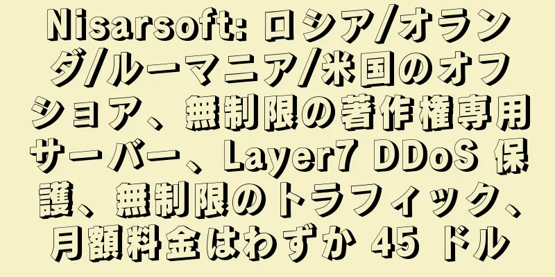 Nisarsoft: ロシア/オランダ/ルーマニア/米国のオフショア、無制限の著作権専用サーバー、Layer7 DDoS 保護、無制限のトラフィック、月額料金はわずか 45 ドル