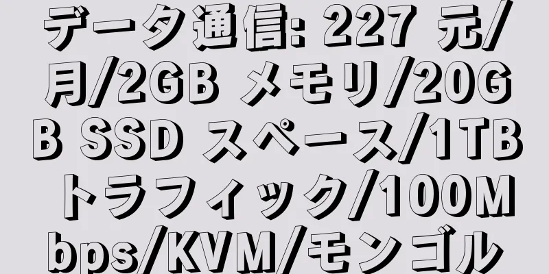 データ通信: 227 元/月/2GB メモリ/20GB SSD スペース/1TB トラフィック/100Mbps/KVM/モンゴル