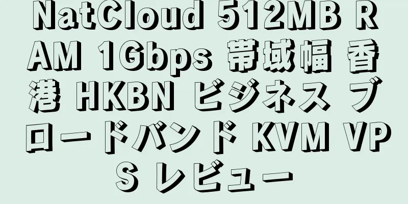 NatCloud 512MB RAM 1Gbps 帯域幅 香港 HKBN ビジネス ブロードバンド KVM VPS レビュー