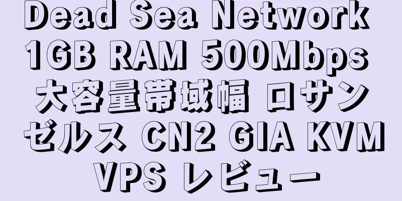 Dead Sea Network 1GB RAM 500Mbps 大容量帯域幅 ロサンゼルス CN2 GIA KVM VPS レビュー