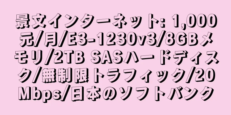 景文インターネット: 1,000元/月/E3-1230v3/8GBメモリ/2TB SASハードディスク/無制限トラフィック/20Mbps/日本のソフトバンク