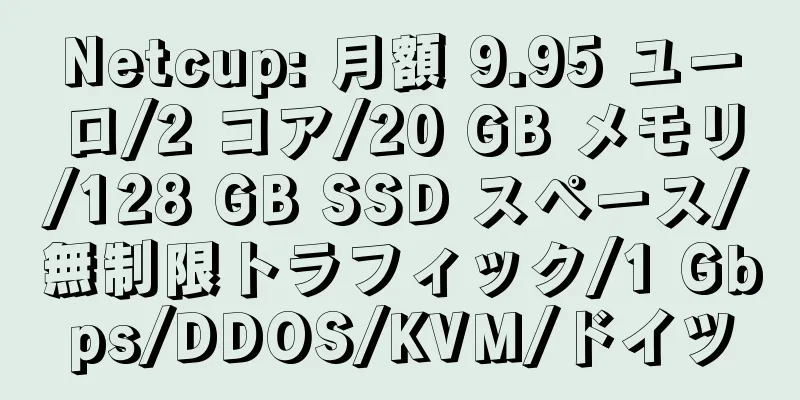 Netcup: 月額 9.95 ユーロ/2 コア/20 GB メモリ/128 GB SSD スペース/無制限トラフィック/1 Gbps/DDOS/KVM/ドイツ