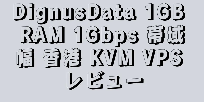 DignusData 1GB RAM 1Gbps 帯域幅 香港 KVM VPS レビュー