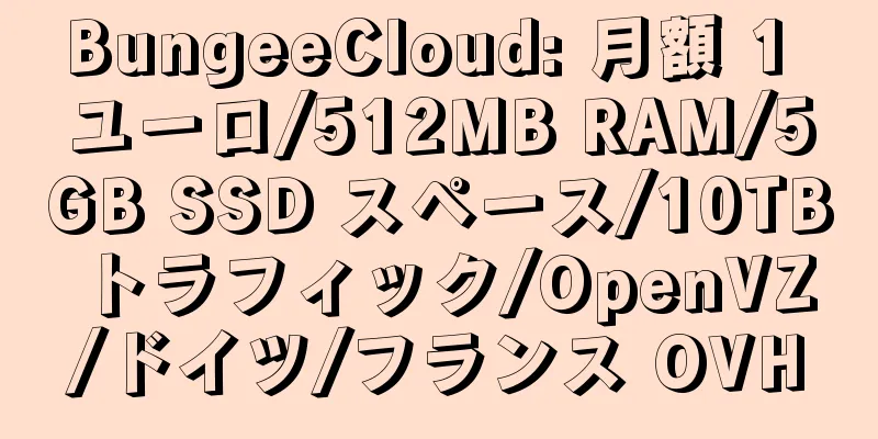 BungeeCloud: 月額 1 ユーロ/512MB RAM/5GB SSD スペース/10TB トラフィック/OpenVZ/ドイツ/フランス OVH