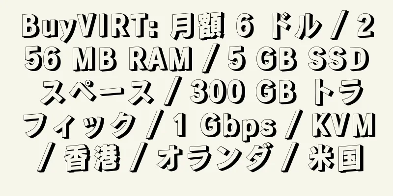 BuyVIRT: 月額 6 ドル / 256 MB RAM / 5 GB SSD スペース / 300 GB トラフィック / 1 Gbps / KVM / 香港 / オランダ / 米国