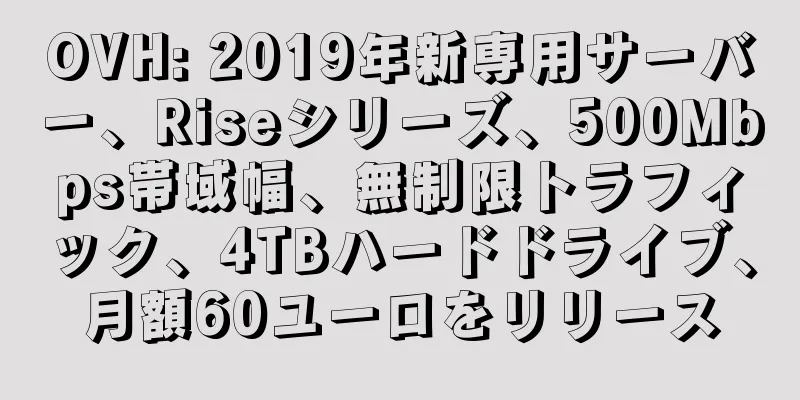 OVH: 2019年新専用サーバー、Riseシリーズ、500Mbps帯域幅、無制限トラフィック、4TBハードドライブ、月額60ユーロをリリース