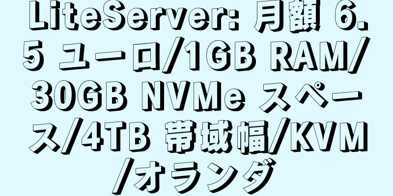 LiteServer: 月額 6.5 ユーロ/1GB RAM/30GB NVMe スペース/4TB 帯域幅/KVM/オランダ