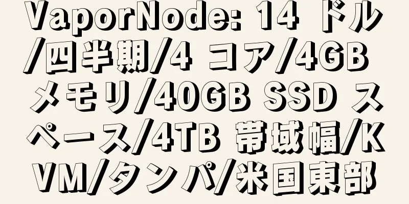 VaporNode: 14 ドル/四半期/4 コア/4GB メモリ/40GB SSD スペース/4TB 帯域幅/KVM/タンパ/米国東部