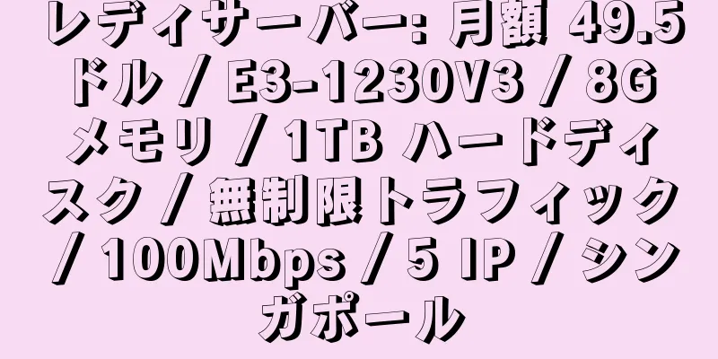 レディサーバー: 月額 49.5 ドル / E3-1230V3 / 8G メモリ / 1TB ハードディスク / 無制限トラフィック / 100Mbps / 5 IP / シンガポール