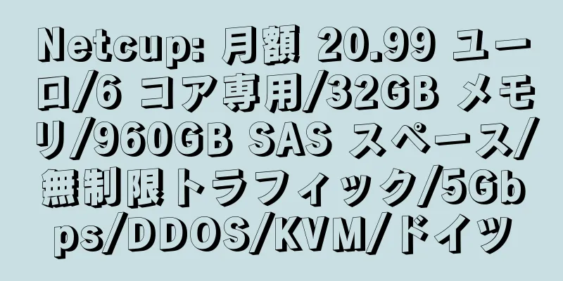 Netcup: 月額 20.99 ユーロ/6 コア専用/32GB メモリ/960GB SAS スペース/無制限トラフィック/5Gbps/DDOS/KVM/ドイツ