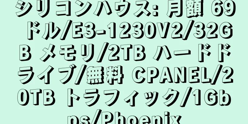 シリコンハウス: 月額 69 ドル/E3-1230V2/32GB メモリ/2TB ハードドライブ/無料 CPANEL/20TB トラフィック/1Gbps/Phoenix