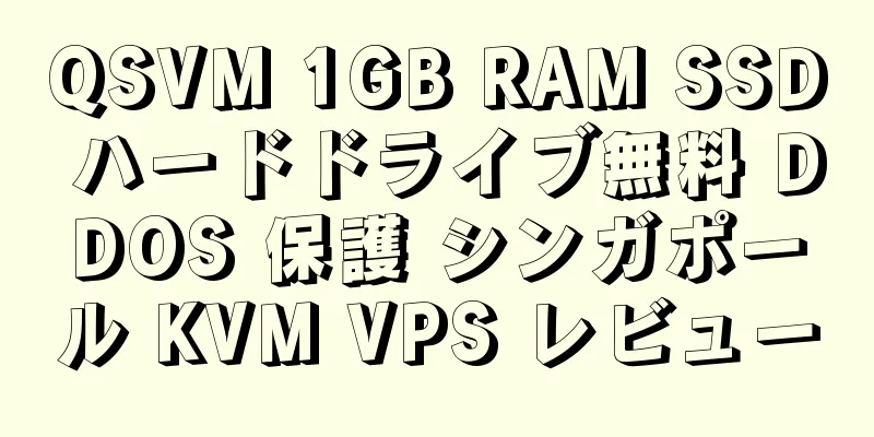 QSVM 1GB RAM SSD ハードドライブ無料 DDOS 保護 シンガポール KVM VPS レビュー