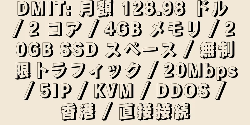 DMIT: 月額 128.98 ドル / 2 コア / 4GB メモリ / 20GB SSD スペース / 無制限トラフィック / 20Mbps / 5IP / KVM / DDOS / 香港 / 直接接続