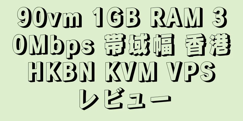 90vm 1GB RAM 30Mbps 帯域幅 香港 HKBN KVM VPS レビュー