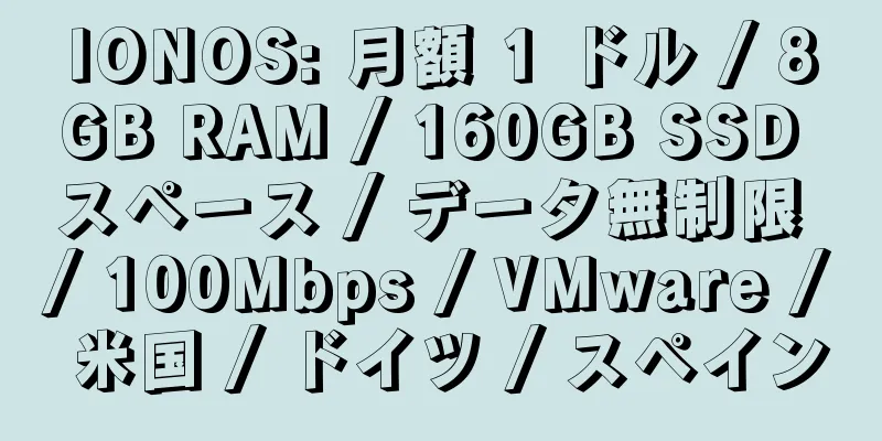 IONOS: 月額 1 ドル / 8GB RAM / 160GB SSD スペース / データ無制限 / 100Mbps / VMware / 米国 / ドイツ / スペイン