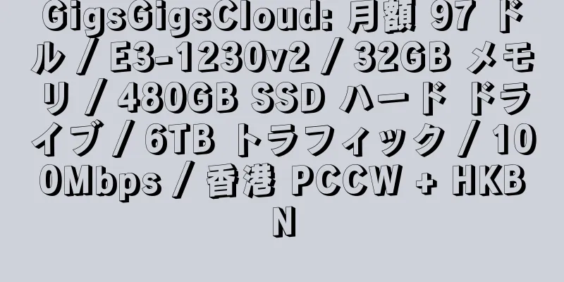 GigsGigsCloud: 月額 97 ドル / E3-1230v2 / 32GB メモリ / 480GB SSD ハード ドライブ / 6TB トラフィック / 100Mbps / 香港 PCCW + HKBN