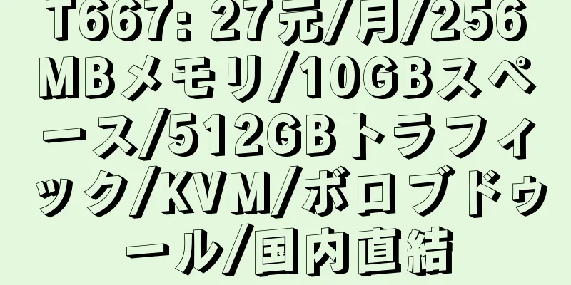 T667: 27元/月/256MBメモリ/10GBスペース/512GBトラフィック/KVM/ボロブドゥール/国内直結