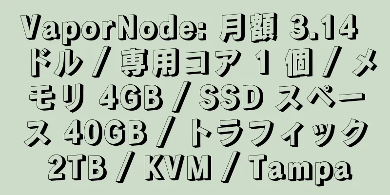 VaporNode: 月額 3.14 ドル / 専用コア 1 個 / メモリ 4GB / SSD スペース 40GB / トラフィック 2TB / KVM / Tampa