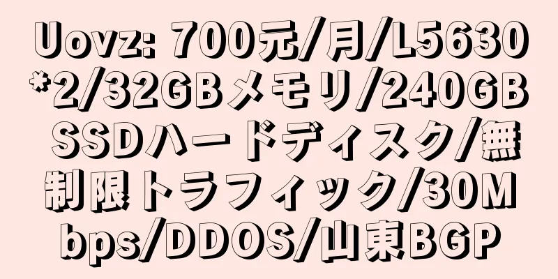 Uovz: 700元/月/L5630*2/32GBメモリ/240GB SSDハードディスク/無制限トラフィック/30Mbps/DDOS/山東BGP