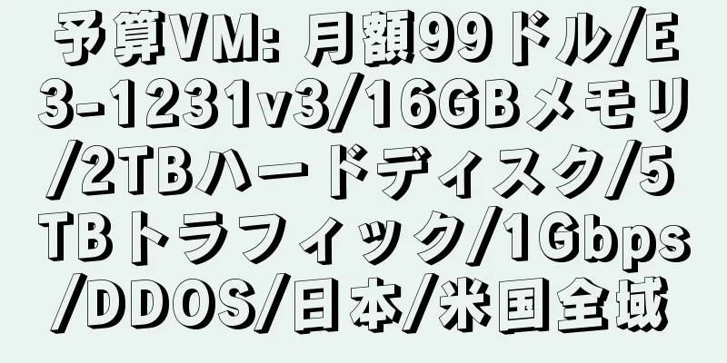 予算VM: 月額99ドル/E3-1231v3/16GBメモリ/2TBハードディスク/5TBトラフィック/1Gbps/DDOS/日本/米国全域