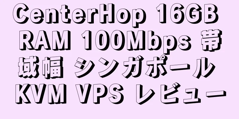 CenterHop 16GB RAM 100Mbps 帯域幅 シンガポール KVM VPS レビュー