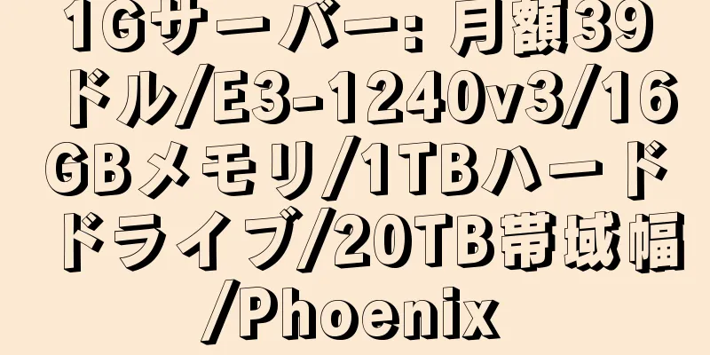 1Gサーバー: 月額39ドル/E3-1240v3/16GBメモリ/1TBハードドライブ/20TB帯域幅/Phoenix