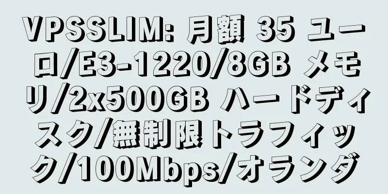 VPSSLIM: 月額 35 ユーロ/E3-1220/8GB メモリ/2x500GB ハードディスク/無制限トラフィック/100Mbps/オランダ