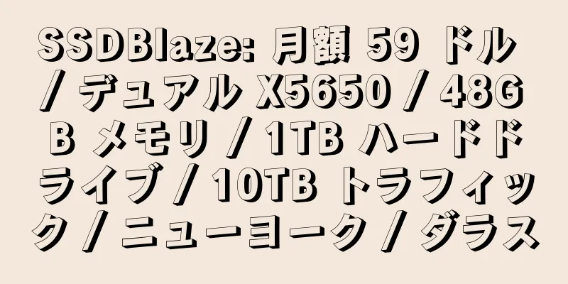 SSDBlaze: 月額 59 ドル / デュアル X5650 / 48GB メモリ / 1TB ハードドライブ / 10TB トラフィック / ニューヨーク / ダラス