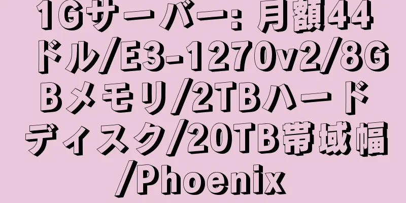 1Gサーバー: 月額44ドル/E3-1270v2/8GBメモリ/2TBハードディスク/20TB帯域幅/Phoenix