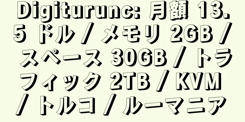 Digiturunc: 月額 13.5 ドル / メモリ 2GB / スペース 30GB / トラフィック 2TB / KVM / トルコ / ルーマニア