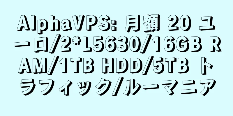 AlphaVPS: 月額 20 ユーロ/2*L5630/16GB RAM/1TB HDD/5TB トラフィック/ルーマニア