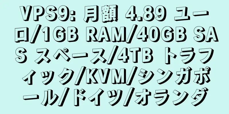 VPS9: 月額 4.89 ユーロ/1GB RAM/40GB SAS スペース/4TB トラフィック/KVM/シンガポール/ドイツ/オランダ