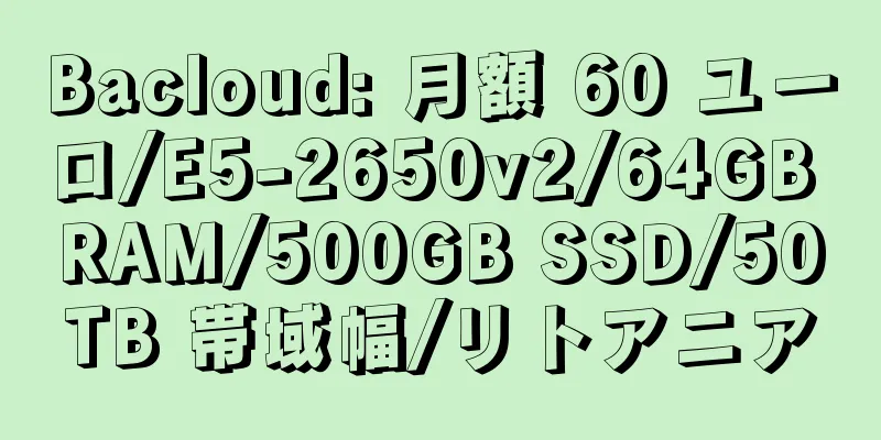 Bacloud: 月額 60 ユーロ/E5-2650v2/64GB RAM/500GB SSD/50TB 帯域幅/リトアニア