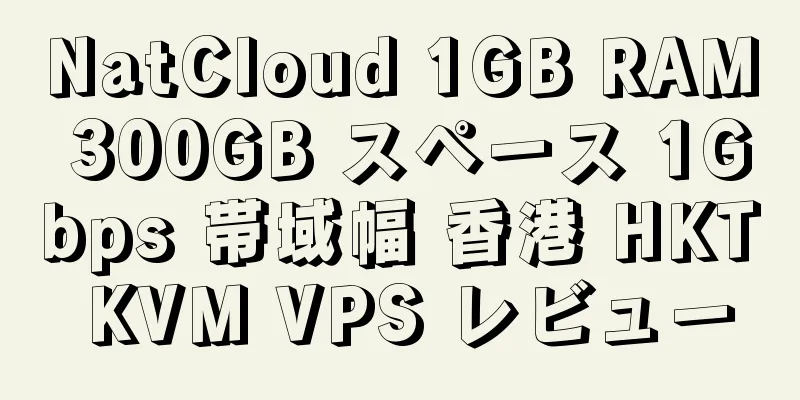 NatCloud 1GB RAM 300GB スペース 1Gbps 帯域幅 香港 HKT KVM VPS レビュー