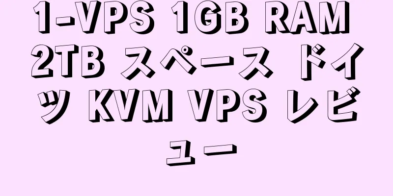 1-VPS 1GB RAM 2TB スペース ドイツ KVM VPS レビュー