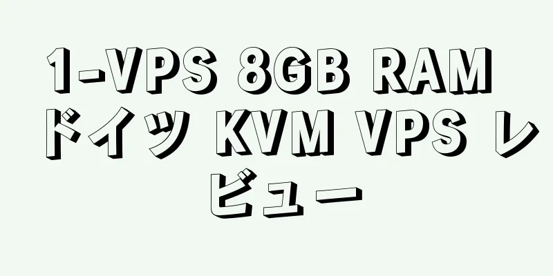 1-VPS 8GB RAM ドイツ KVM VPS レビュー