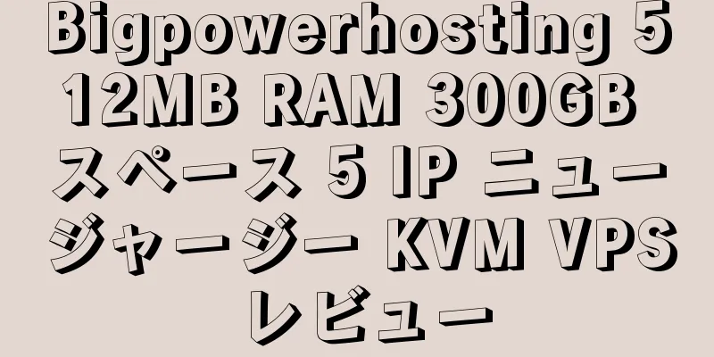 Bigpowerhosting 512MB RAM 300GB スペース 5 IP ニュージャージー KVM VPS レビュー