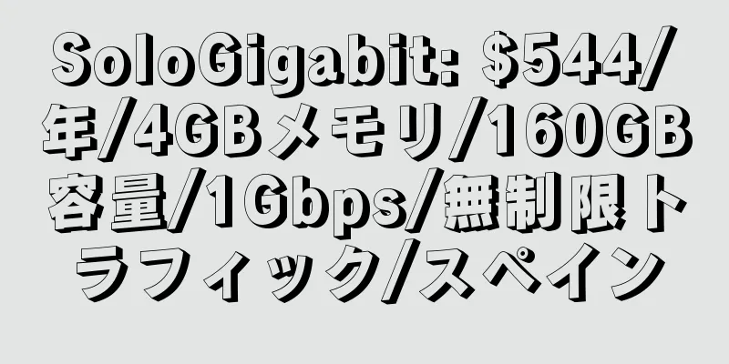 SoloGigabit: $544/年/4GBメモリ/160GB容量/1Gbps/無制限トラフィック/スペイン