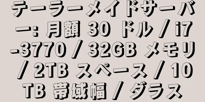 テーラーメイドサーバー: 月額 30 ドル / i7-3770 / 32GB メモリ / 2TB スペース / 10TB 帯域幅 / ダラス