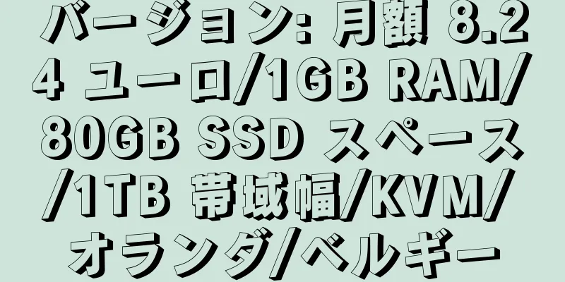 バージョン: 月額 8.24 ユーロ/1GB RAM/80GB SSD スペース/1TB 帯域幅/KVM/オランダ/ベルギー