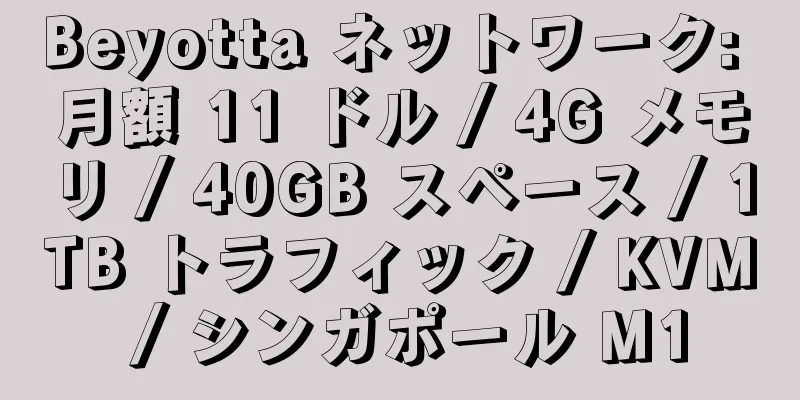 Beyotta ネットワーク: 月額 11 ドル / 4G メモリ / 40GB スペース / 1TB トラフィック / KVM / シンガポール M1